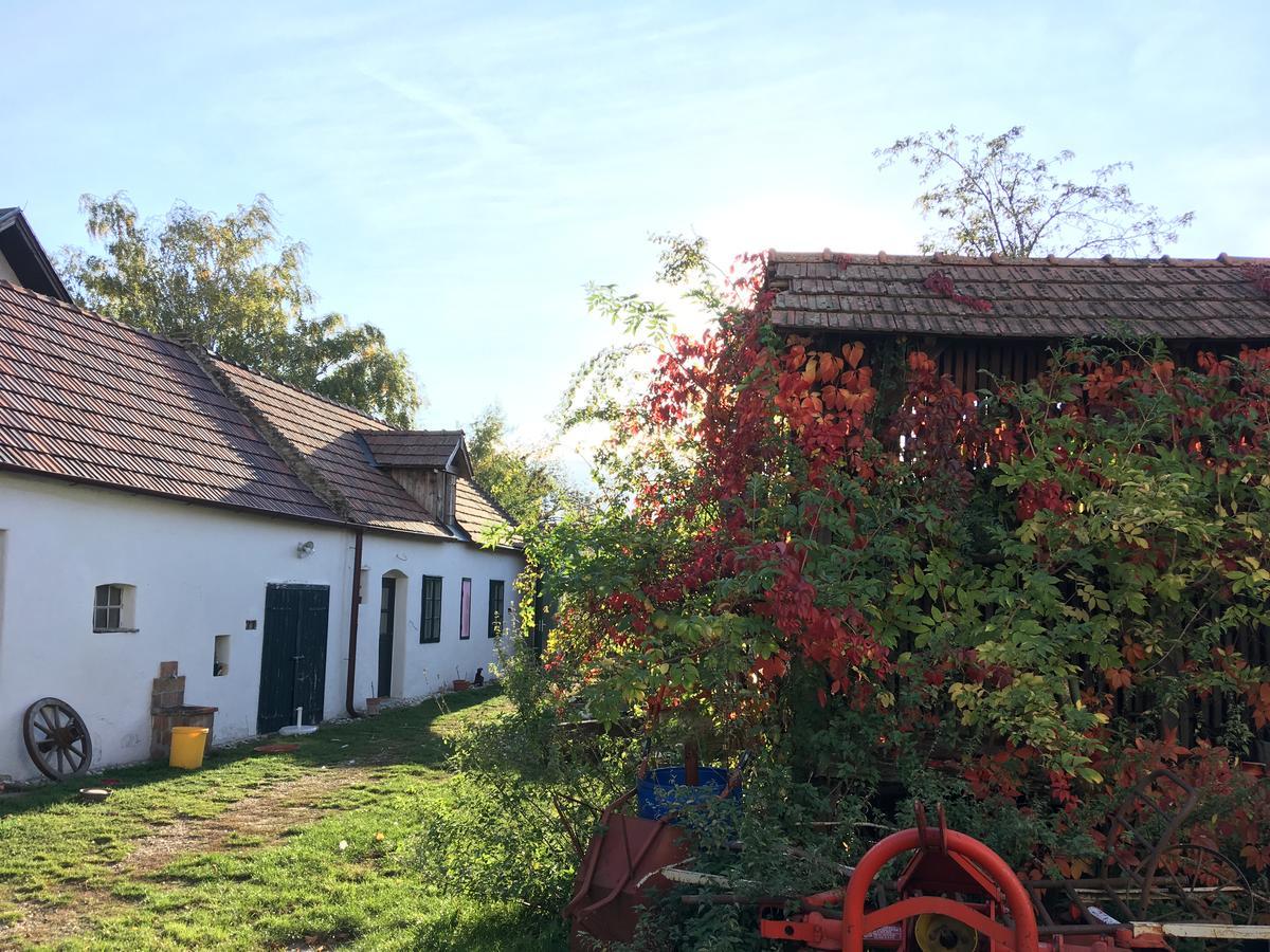 Apartment Am Ziegenhof Parndorf