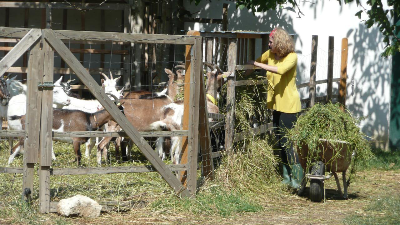 Am Ziegenhof Appartamento